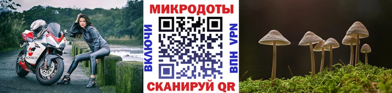 Псилоцибиновые грибы MAGIC MUSHROOMS  Купить где  Дубовка 