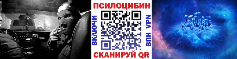 Галлюциногенные грибы Psilocybine cubensis Дубовка