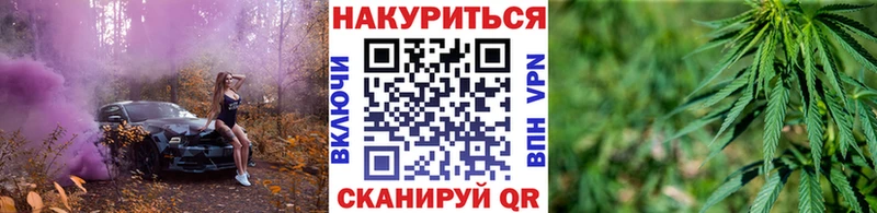 Купить  Дубовка  Бошки Шишки сатива 